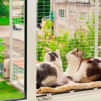 Выгул для кошек